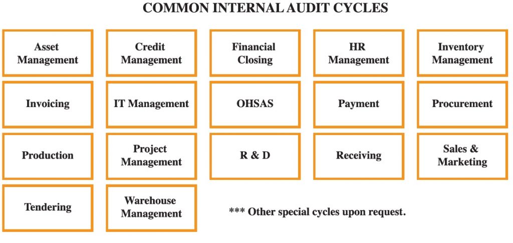 Common Internal Audit Cycles