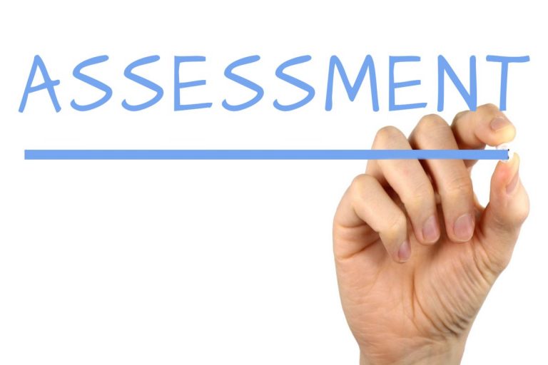 Assessment