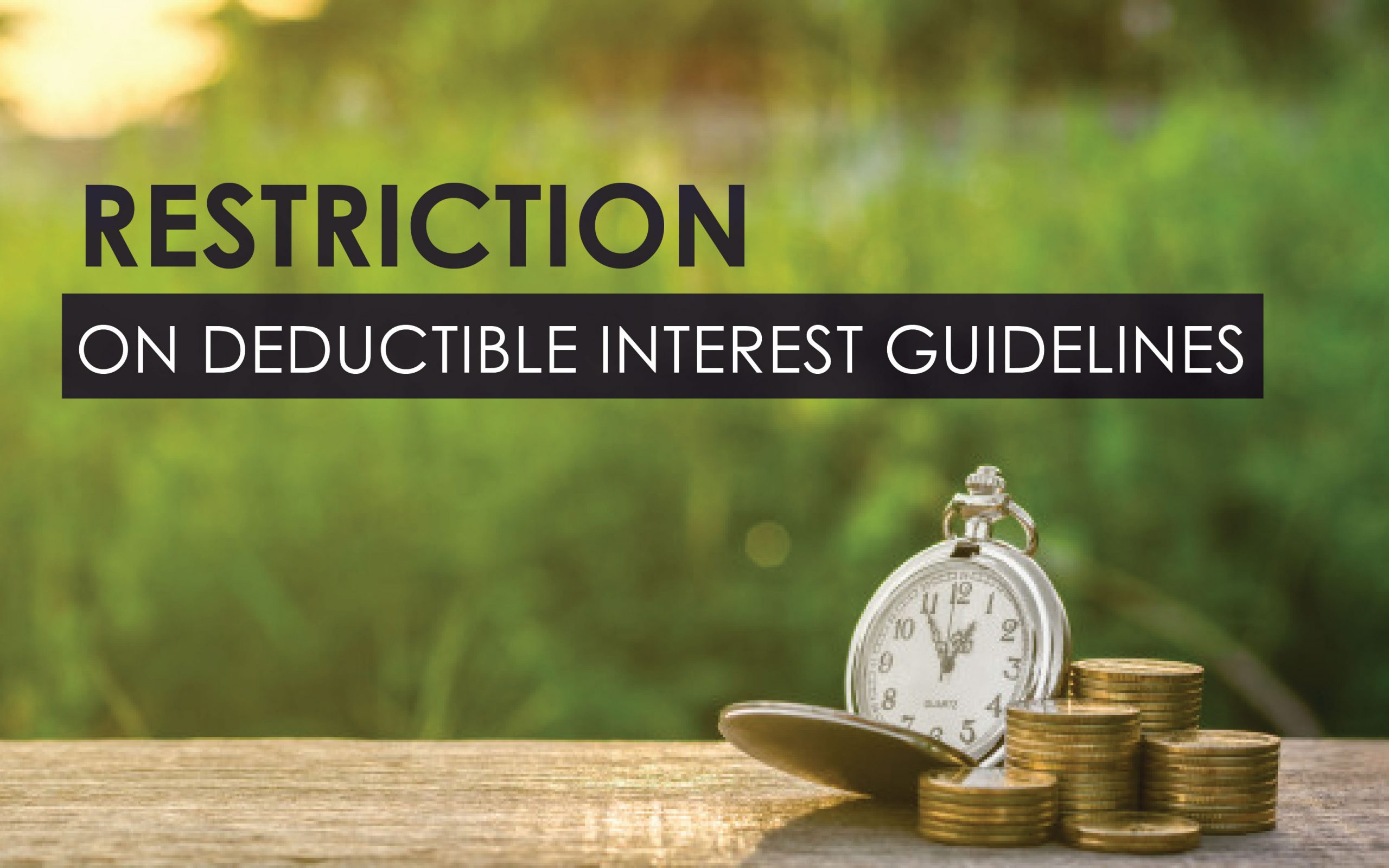Restriction On Deductible Interest Guidelines