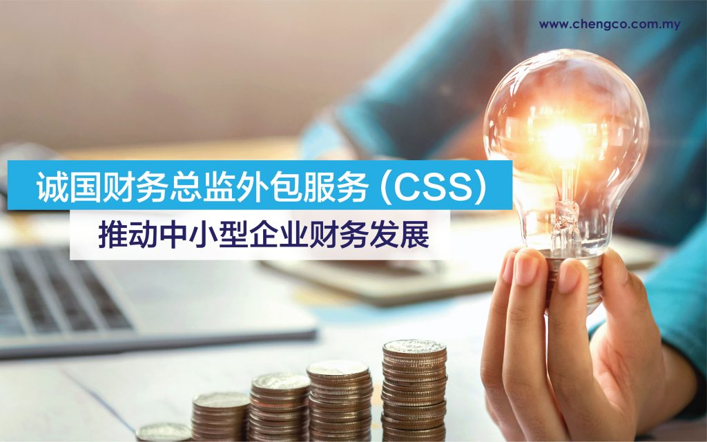 诚国财务总监外包服务 (CSS) 推动中小型企业财务发展 7 CSS Wordpress Cover CHinese